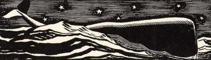 moby rockwell kent b